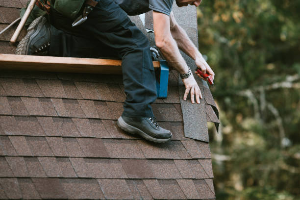 Best Metal Roofing Contractor  in Hebron, IN
